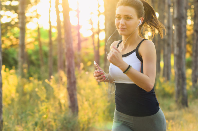 fitneesbands